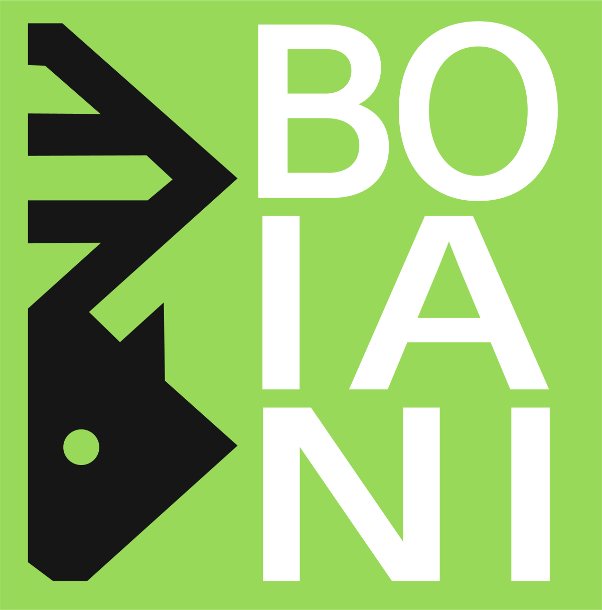 www.boiani.ch